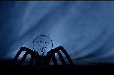 Arachnofobia #żarówka #pająk #arachnofobia