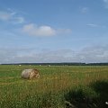 spacerkowe