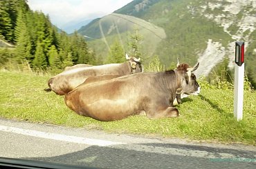 #Droga #Przełęcz #SS38 #Stelvio #Włochy