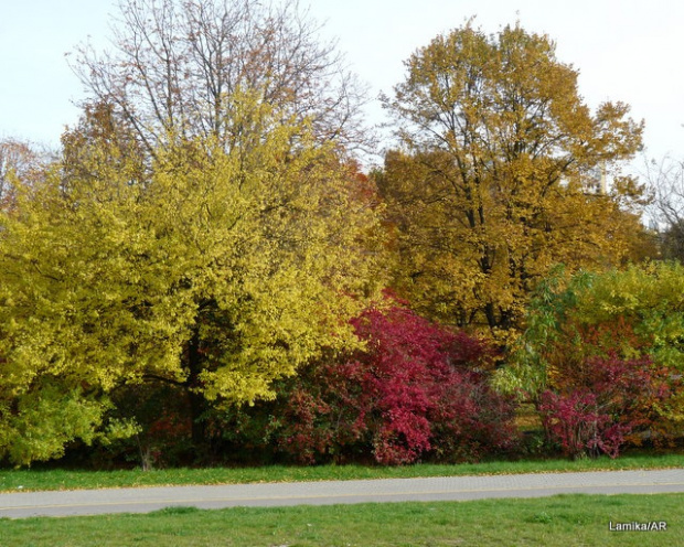 Park im. E. Szymańskiego