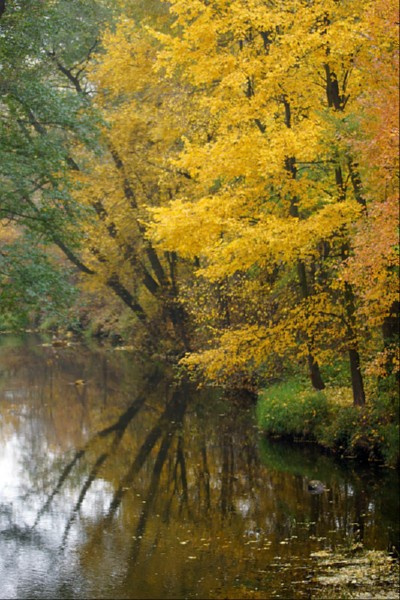 świętokrzyskie