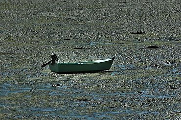 St. Cado #Breizh #Bretagne #Bretania #Brittany #France #Francja #Morbihan