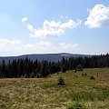 Jaworzyna Kamienicka z polany Gorc Troszacki #góry #beskidy #gorce #podskały #adamówka #GorcTroszacki