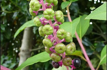 #MassinoVisconti #SanSalvador #Sanktuarium #Włochy