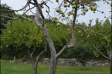 #MassinoVisconti #SanSalvador #Sanktuarium #Włochy