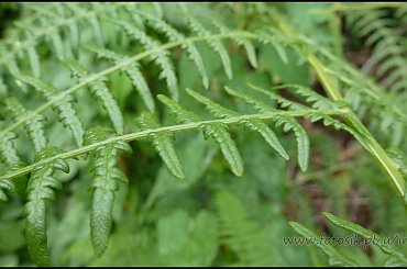 #MassinoVisconti #SanSalvador #Sanktuarium #Włochy