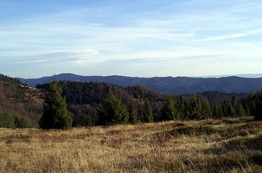 Pasmo Lubania z polany Morgi Polackie #góry #beskidy #gorce #bieniowe #gorc #przysłop