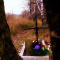 ,,SAMOTNY,,-grób nieznanego żołnierza znajdujący się w Kopciowice-gmina Chełm Śląski.Oddalony jest od cmentarza około 2 kilometry,ale mieszkańcy Kopciowic opiekują się Nim-jak ,,swoim,,...