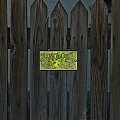 Twórczość producentów tychże "ostrzeżeń" skłoniła mnie do założenia tego albumu ( Fotki zrobione podczas wycieczek po Polsce i Słowacji 2009-2013r)