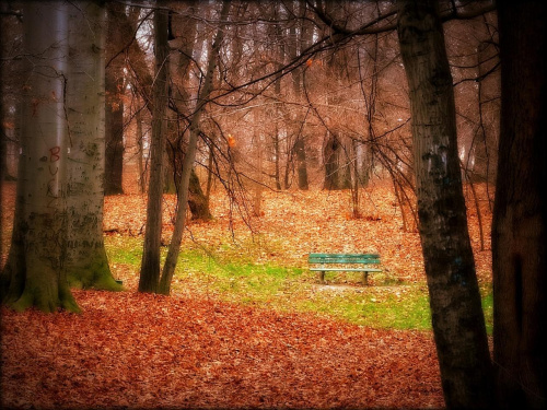 Park im. gen. Władysława Sikorskiego w Świdnicy #DolnyŚląsk #Świdnica #Schweidnitz #park
