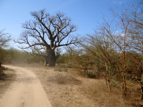 Senegal