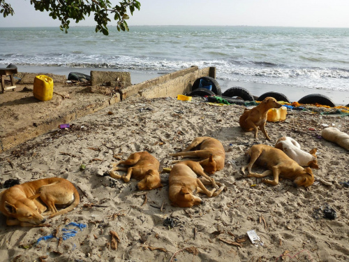 Gambia