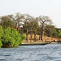 Senegal