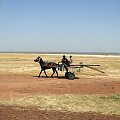 Senegal