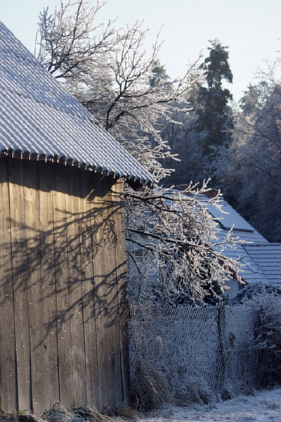 świętokrzyskie