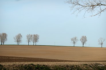 #natura #pola #widoki