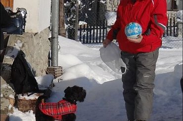 #góry #podróże #sznaucer #Zakopane #zima