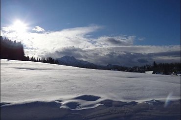 #góry #podróże #sznaucer #Zakopane #zima
