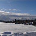 #góry #podróże #sznaucer #Zakopane #zima