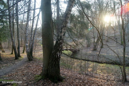 Park Połczyn Zdrój