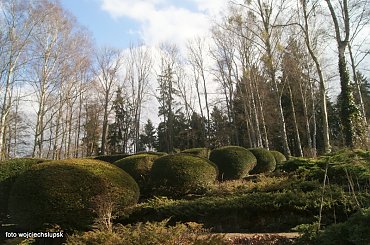 Połczyn Zdrój #Uzdrowisko #park