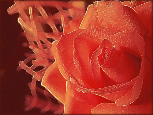 Dla Was, kochani - z podziękowaniami za życzenia urodzinowe :) #róża #kwiat #obróbka #art