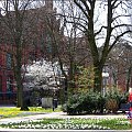 Wiosenny spacer #Kołobrzeg #Park18Marca #Wiosna