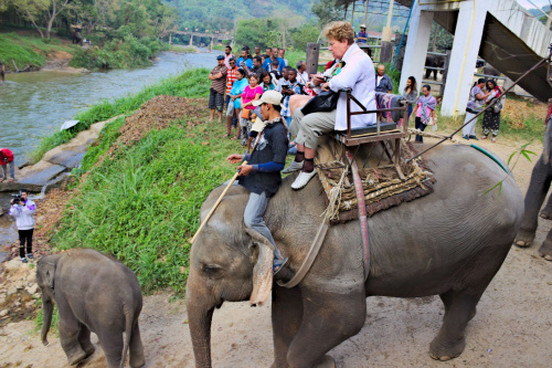 Z wizytą w wiosce słoni #azja #dżungla #jungle #mamut #słoń #tajlandia #tropik