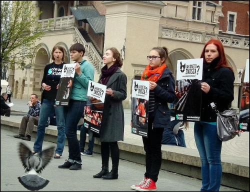 Kraków.Rynek Główny [12.04].Protest przeciwko klatkowej hodowli kur i sprzedaży tak pozyskiwanych jajek...