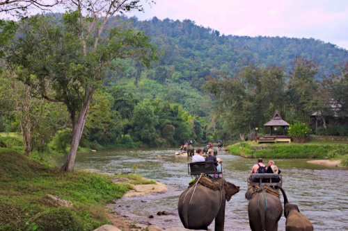 Z grzbietu słonia #azja #słoń #tajlandia
