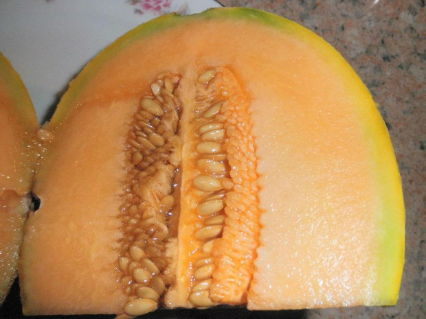 Melon Junior