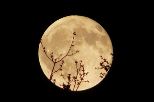 w tym czasie na drugiej półkuli był czerwony , u nas jak widać nie miał powodu do złości :)) #Księżyc