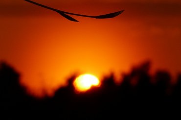 ... już zachodzi wiosenne słoneczko ... #ZachódSłońca