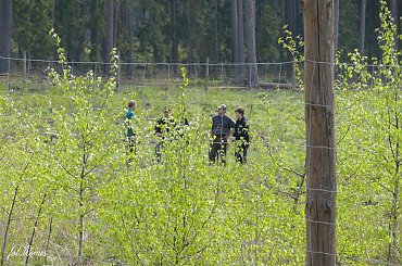 Poszukiwanie Goliata #goliath #rygielpisz