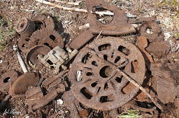 Poszukiwanie Goliata #goliath #rygielpisz