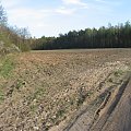 Pola śródleśne koło Borowni
