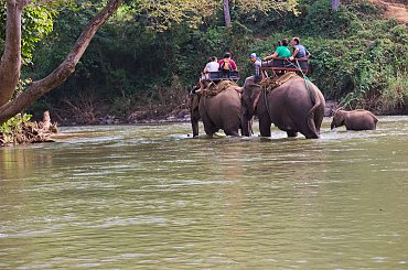 #azja #tajlandia #rzeka #tropik #dżungla