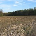 Pola śródleśne koło Borowni