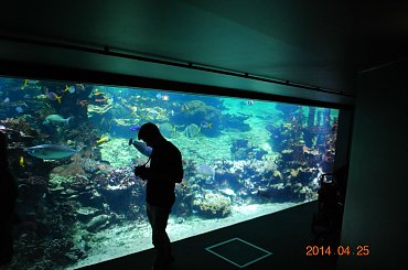 Boulogne - Francja #Berk #Boulogne #francja