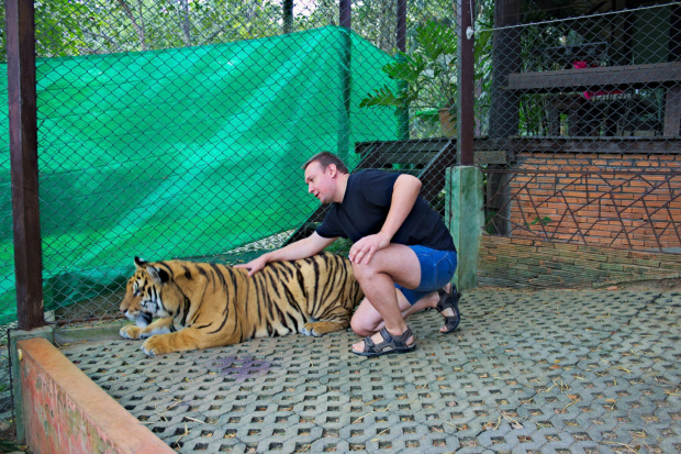 Z wizyta u tygrysów #azja #tajlandia #TigerKingdom #tygrys