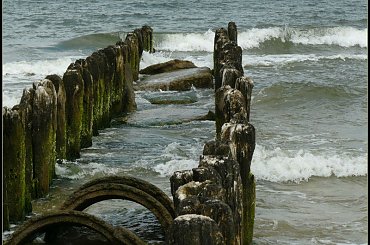 morze,woda,mewa #mewa #piasek #woda