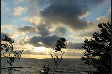 nadmorski wiatr #mewa #piasek #woda