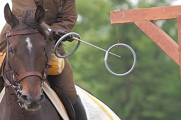 XIV Piknik Kawaleryjski w Suwałkach, 14-15.VI.2014 #kawaleria #konie #koń #PiknikKawaleryjski #Suwałki #ułani