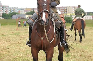 XIV Piknik Kawaleryjski w Suwałkach, 14-15.VI.2014 #kawaleria #konie #koń #PiknikKawaleryjski #Suwałki #ułani