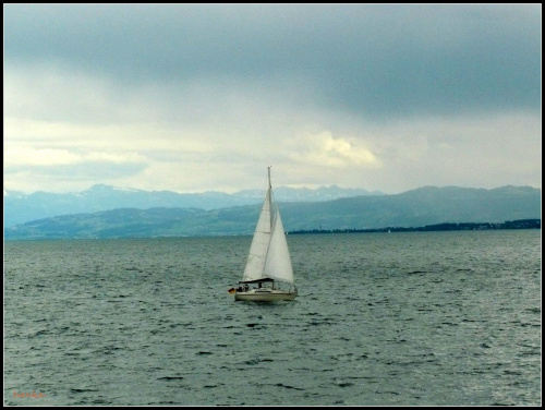 Jezioro Bodeńskie,na horyzoncie Alpy,szkoda,że pogoda paskudna #promy #statki #woda
