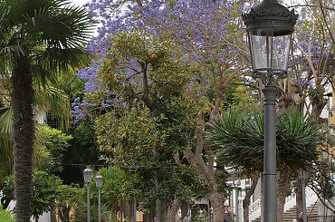 Wulkaniczna wyspa na Atlantyku, pełna kwiatów i zieleni. #Atlantic #Atlantyk #island #ocean #Teneriffe #Teneryfa #volcano #wulkan #wyspa