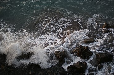 Wulkaniczna wyspa na Atlantyku, pełna kwiatów i zieleni. #Atlantic #Atlantyk #island #ocean #Teneriffe #Teneryfa #volcano #wulkan #wyspa