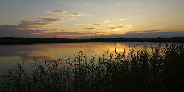 świętokrzyskie/ okolice Korytnicy