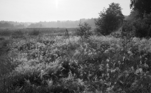 SIELPIA/ŚWIĘTOKRZYSKIE