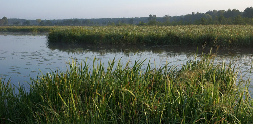 SIELPIA/ŚWIĘTOKRZYSKIE